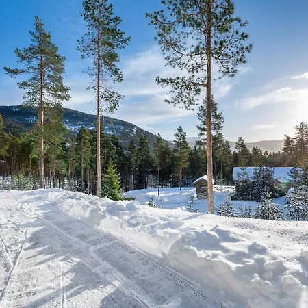 Resort Ivar Hytte 6P With Sauna *